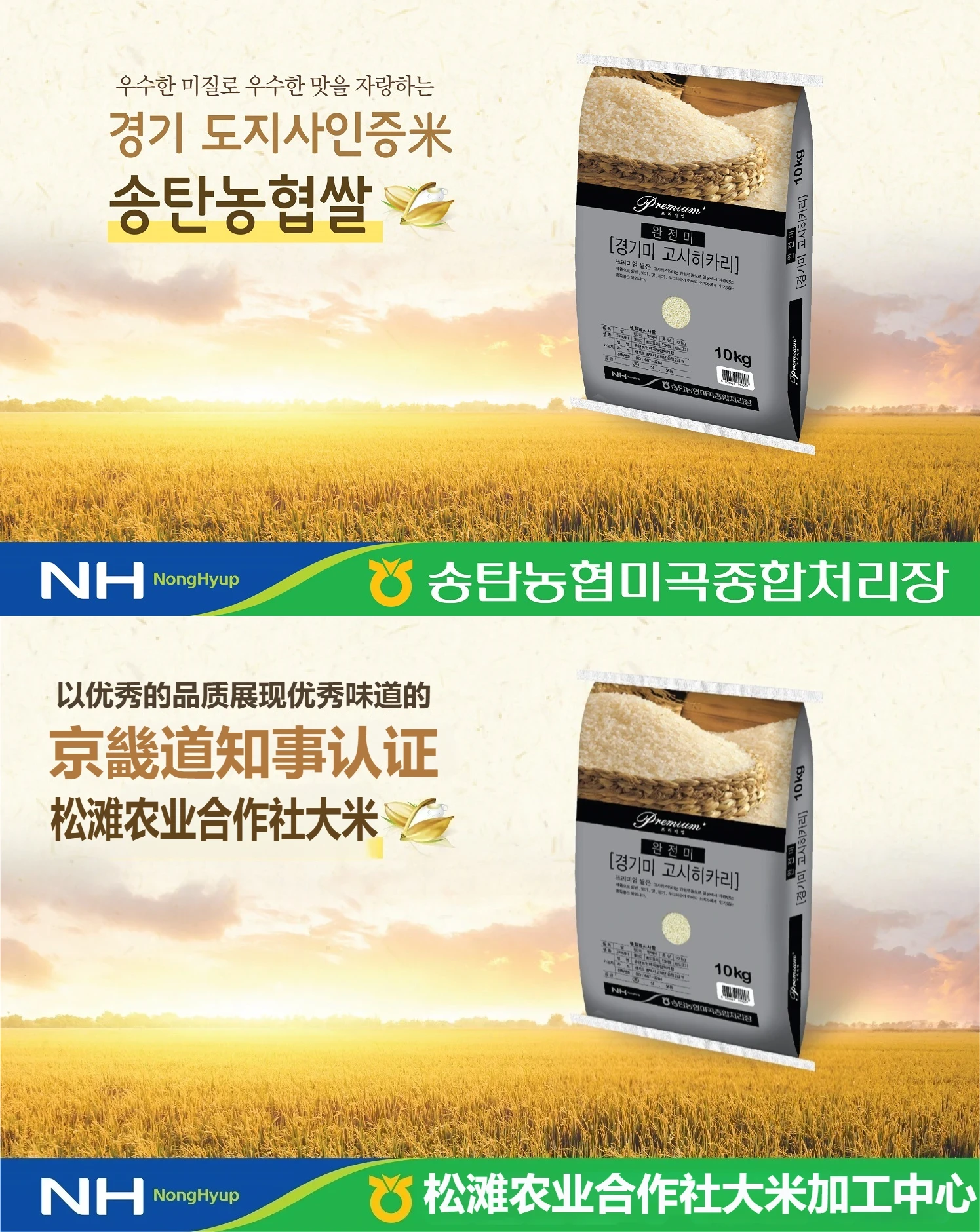 妙言小智韩语翻译效果对比